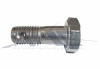 Bolt Drilled S/S