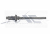 Cherry Rivet
