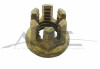 Castellated Nut