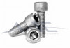 Socket Head Screw S/S