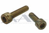 Socket Head Screw