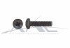 Black Instrument Screw