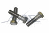 Hex Head Screw