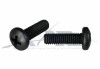 Screw S/S Black Oxide