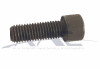 Socket Head Screw