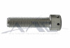 Socket Head Screw S/S