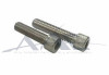 Socket Head Screw S/S