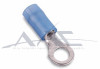 Terminal Ring
