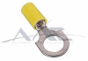 Ring Terminal