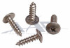 Sheet Metal Screw S/S