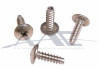 Sheet Metal Screw S/S