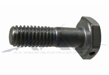 Bolt Drilled Head S/S